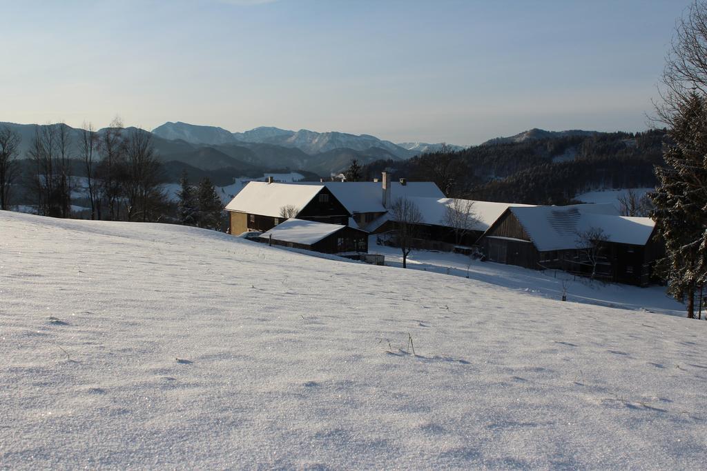 Villa Hirmhof Reinsberg Exterior foto